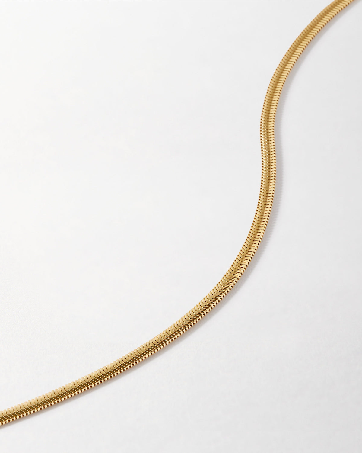 Flat Snake Chain Bracelet
