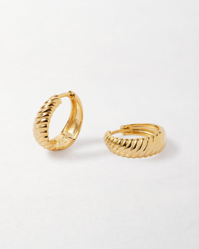 Spiral Small Hoop Earrings