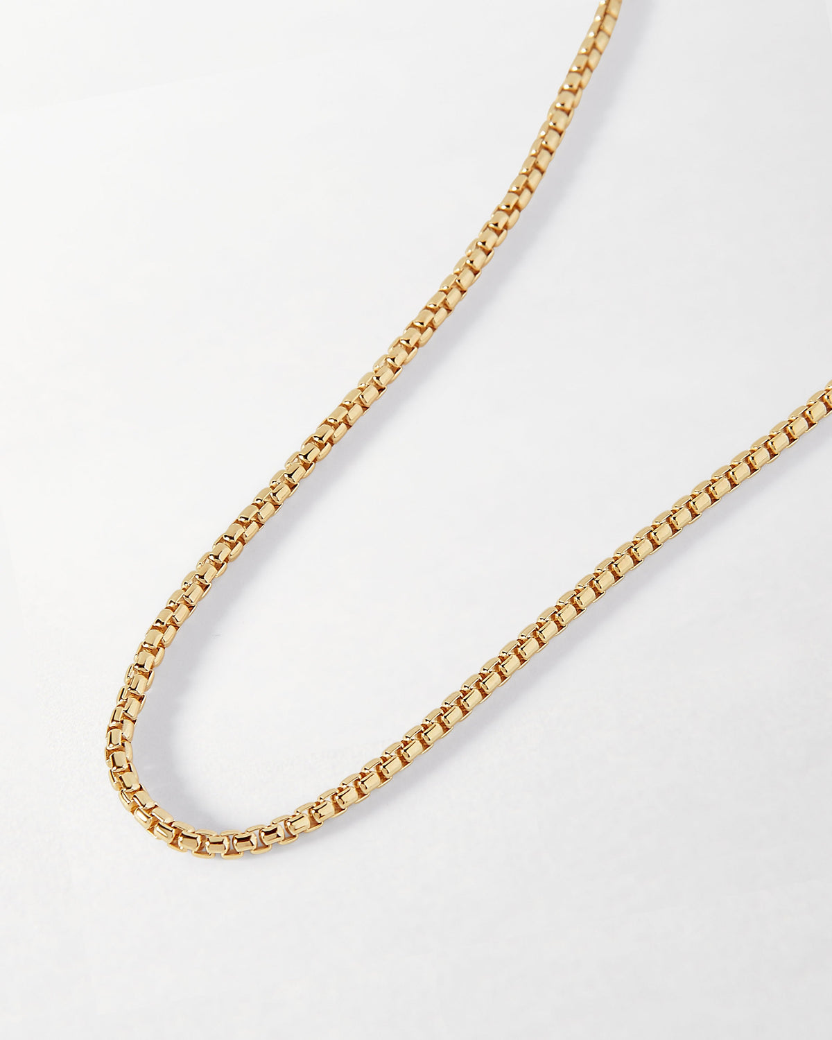 Rounded Box Chain Necklace